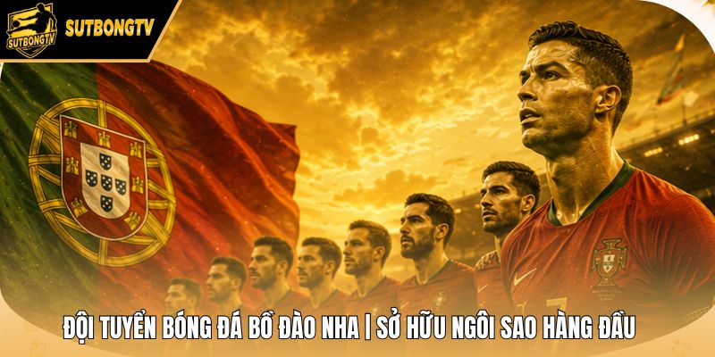 Đội Tuyển Bóng Đá Bồ Đào Nha | Sở Hữu Ngôi Sao Hàng Đầu